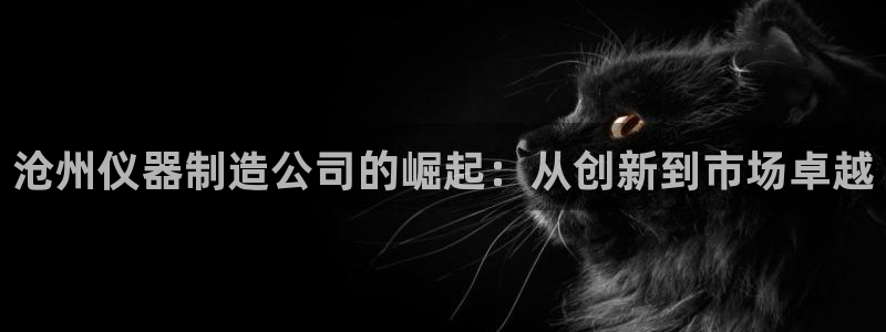 天宏娱乐言叔