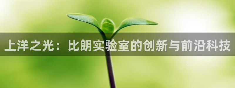 天宏娱乐倒闭了吗：上洋之光：比朗实验室的创新与前沿科技