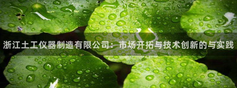 天宏娱乐818：浙江土工仪器制造有限公司：市场开拓与技术创新