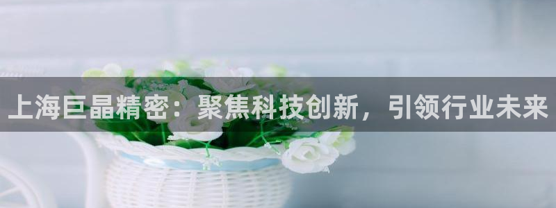 天宏娱乐下载：上海巨晶精密：聚焦科技创新，引领行业未来
