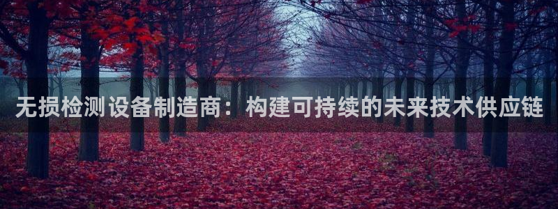 金叔直播天宏娱乐直播：无损检测设备制造商：构建可持续的未来技