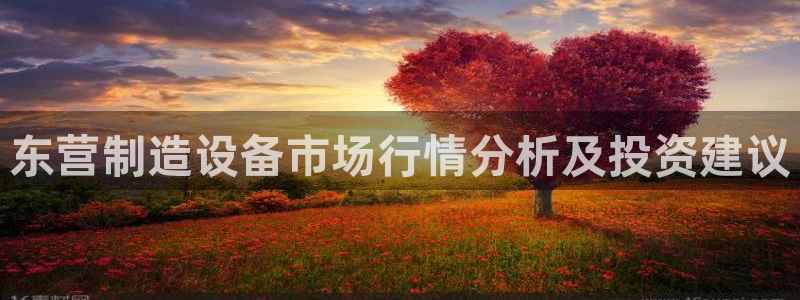 天宏娱乐地址查询：东营制造设备市场行情分析及投资建议