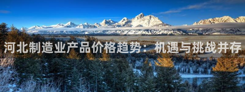 天宏娱乐宝叔：河北制造业产品价格趋势：机遇与挑战并存