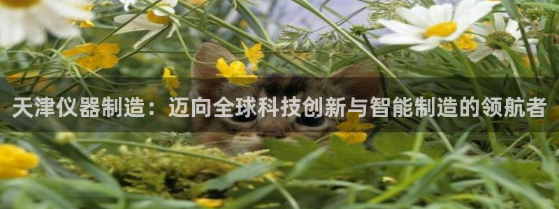 天宏娱乐会所地址：天津仪器制造：迈向全球科技创新与智能制造的