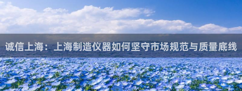 天宏娱乐大叔团龙叔：诚信上海：上海制造仪器如何坚守市场规范与