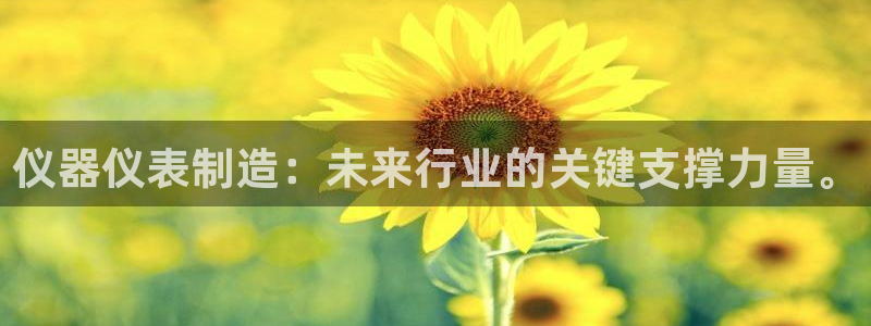 天宏娱乐董叔：仪器仪表制造：未来行业的关键支撑力量。