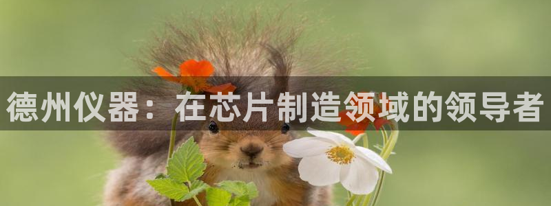 天宏娱乐招商主管招聘