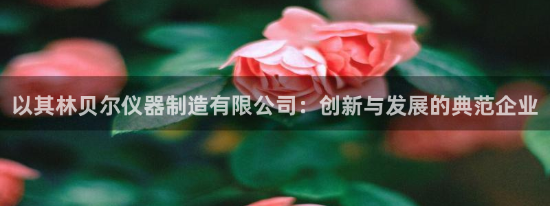 天宏 娱乐属于什么平台：以其林贝尔仪器制造有限公司：创新与发