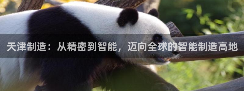 天宏娱乐韩叔：天津制造：从精密到智能，迈向全球的智能制造高地