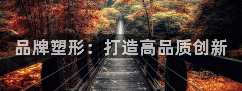 秦皇岛新闻宏天娱乐：品牌塑形：打造高品质创新