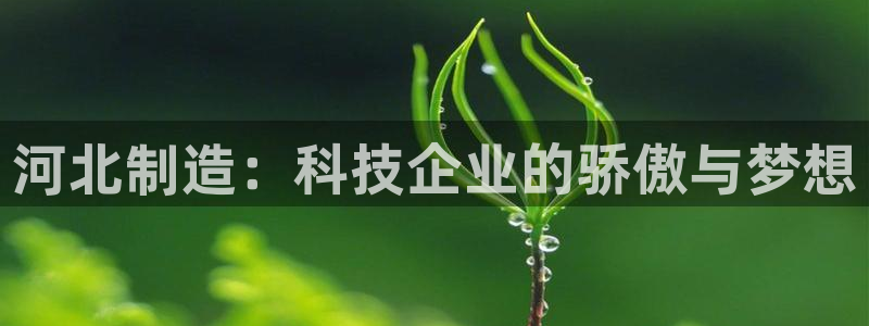 天宏娱乐有明星么：河北制造：科技企业的骄傲与梦想