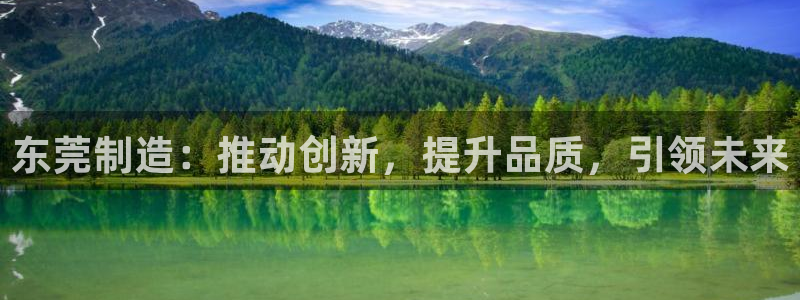 天宏娱乐魂师对决：东莞制造：推动创新，提升品质，引领未来
