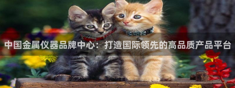 天宏娱乐开业：中国金属仪器品牌中心：打造国际领先的高品质产品