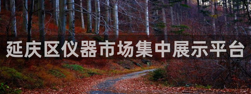 天宏娱乐倒闭了吗现在：延庆区仪器市场集中展示平台