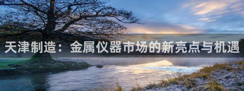 天宏娱乐：天津制造：金属仪器市场的新亮点与机遇