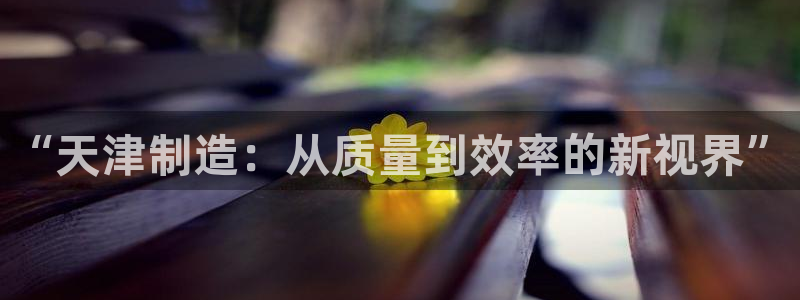天宏娱乐直播在线观看免费：“天津制造：从质量到效率的新视界”