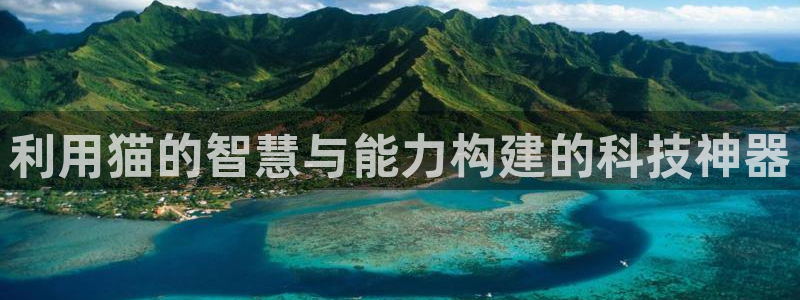 天宏娱乐团购活动时间：利用猫的智慧与能力构建的科技神器
