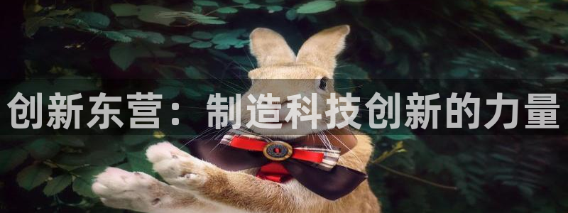 天宏娱乐李叔：创新东营：制造科技创新的力量