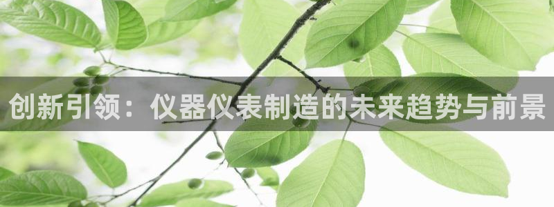 天宏娱乐朱俊伟：创新引领：仪器仪表制造的未来趋势与前景