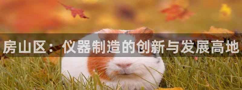 西安天宏娱乐会所地址：房山区：仪器制造的创新与发展高地