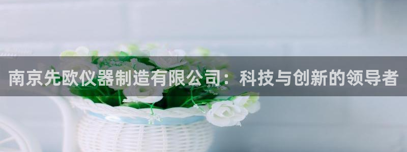 天宏娱乐怎么改号了：南京先欧仪器制造有限公司：科技与创新的领