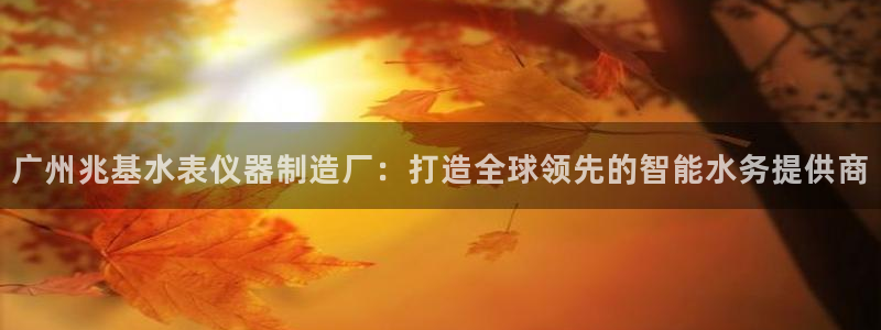 裕宏娱乐林天俊简介：广州兆基水表仪器制造厂：打造全球领先的智