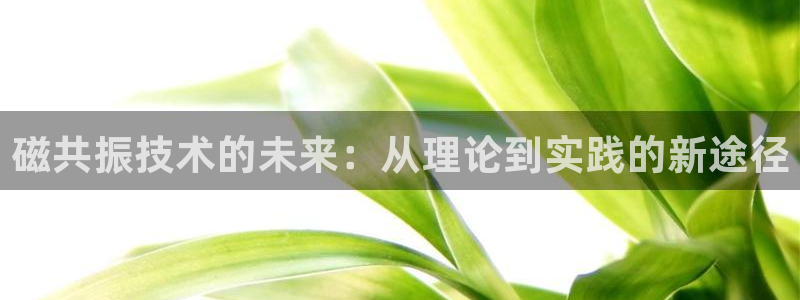 宏天皓星娱乐：磁共振技术的未来：从理论到实践的新途径