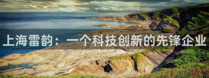 石河子天宏娱乐：上海雷韵：一个科技创新的先锋企业