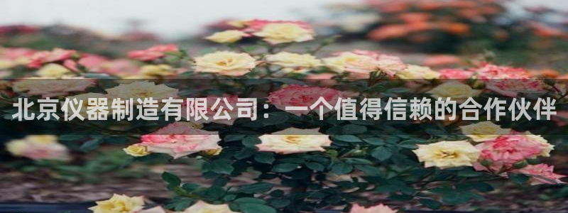 天宏娱乐视频：北京仪器制造有限公司：一个值得信赖的合作伙伴