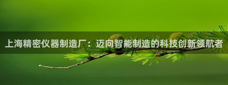 天宏娱乐卢叔：上海精密仪器制造厂：迈向智能制造的科技创新领航