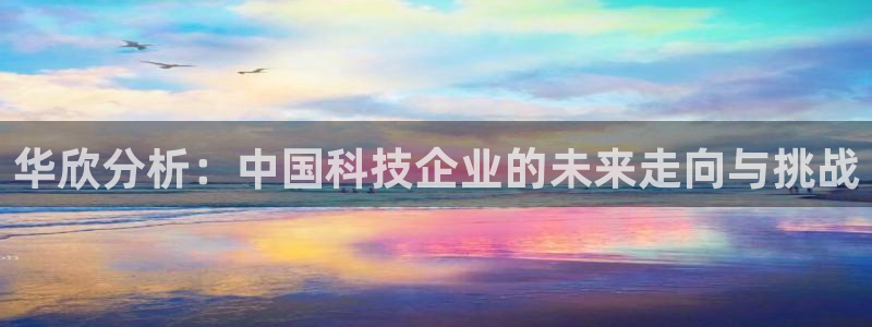 天宏娱乐君叔：华欣分析：中国科技企业的未来走向与挑战