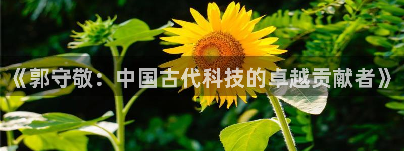 天宏娱乐开业晚宴：《郭守敬：中国古代科技的卓越贡献者》