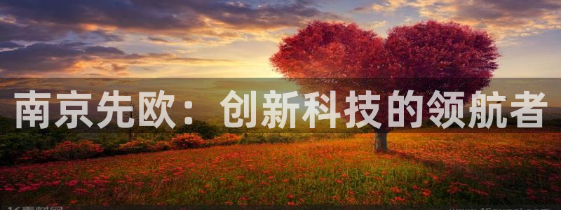 天宏娱乐官网：南京先欧：创新科技的领航者