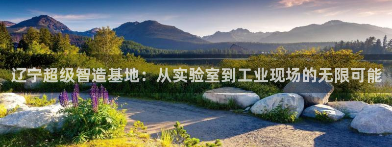 天亿娱乐宏发团队：辽宁超级智造基地：从实验室到工业现场的无限