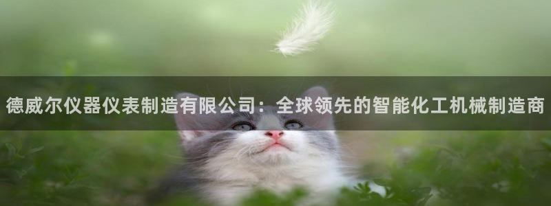 天宏娱乐g OO判官：德威尔仪器仪表制造有限公司：全球领先的
