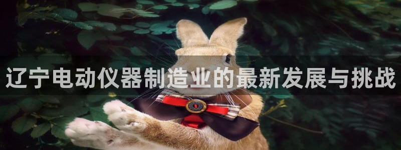 天宏娱乐刘叔：辽宁电动仪器制造业的最新发展与挑战
