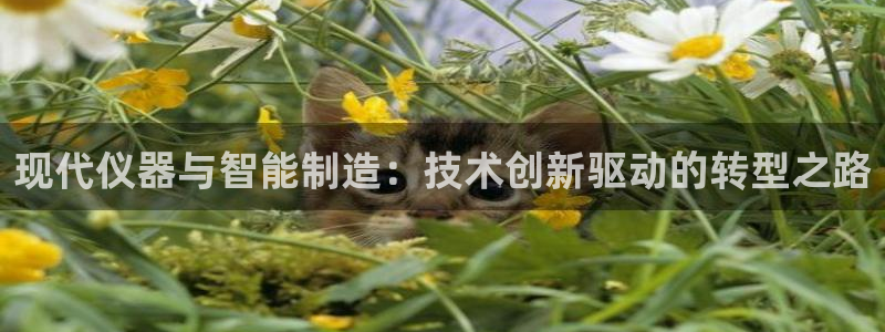 天宏娱乐满意hfqjwl下拉：现代仪器与智能制造：技术创新驱
