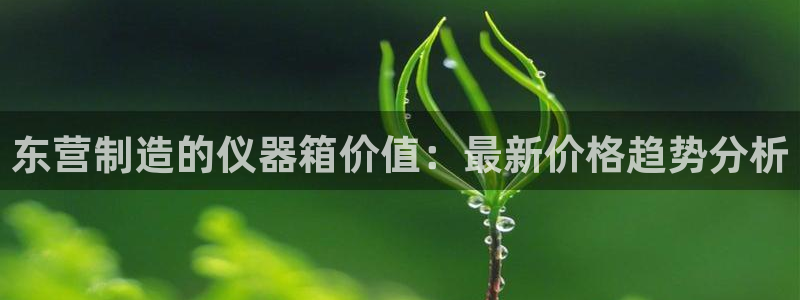 天宏娱乐二台：东营制造的仪器箱价值：最新价格趋势分析