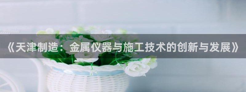 天宏娱乐创始人：《天津制造：金属仪器与施工技术的创新与发展》