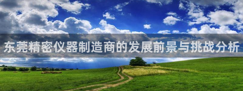 广州宏创天美娱乐文化：东莞精密仪器制造商的发展前景与挑战分析