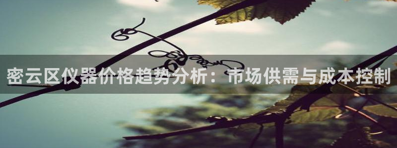 天宏娱乐团队：密云区仪器价格趋势分析：市场供需与成本控制