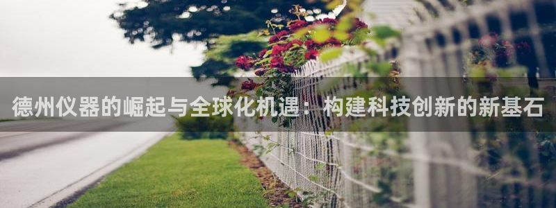 天宏娱乐开业：德州仪器的崛起与全球化机遇：构建科技创新的新基