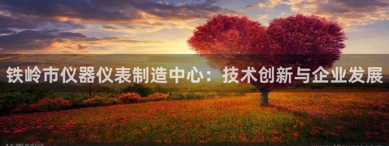天宏娱乐总店：铁岭市仪器仪表制造中心：技术创新与企业发展
