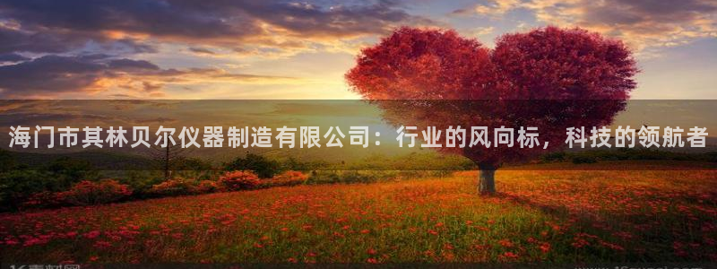 石河子天宏娱乐：海门市其林贝尔仪器制造有限公司：行业的风向标