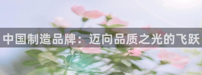 天宏娱乐韩叔：中国制造品牌：迈向品质之光的飞跃