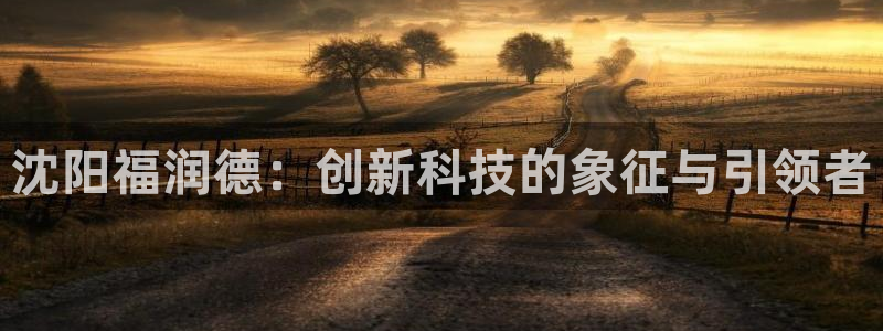 天宏娱乐小刘：沈阳福润德：创新科技的象征与引领者