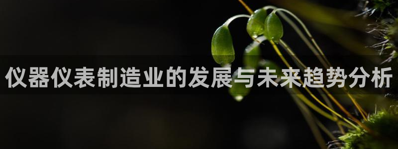 天宏娱乐总店电话地址：仪器仪表制造业的发展与未来趋势分析