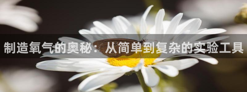 天宏娱乐会员注册：制造氧气的奥秘：从简单到复杂的实验工具