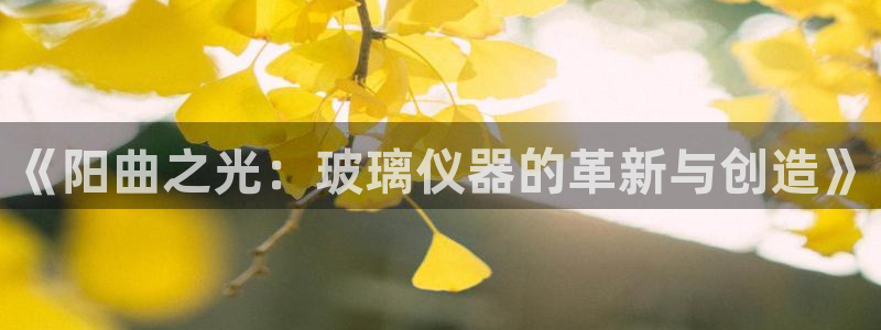 广州宏创天美娱乐文化：《阳曲之光：玻璃仪器的革新与创造》