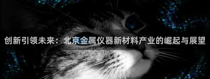 河源天宏娱乐：创新引领未来：北京金属仪器新材料产业的崛起与展